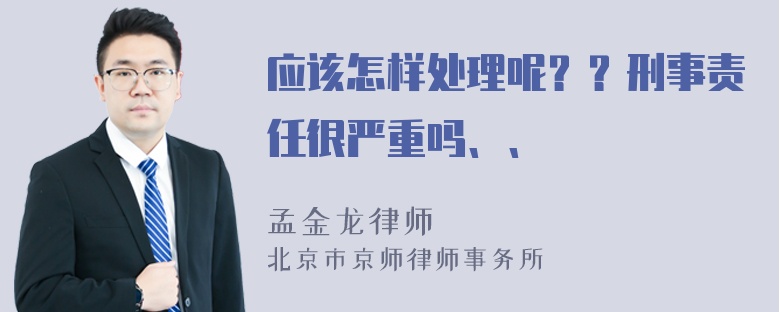 应该怎样处理呢？？刑事责任很严重吗、、