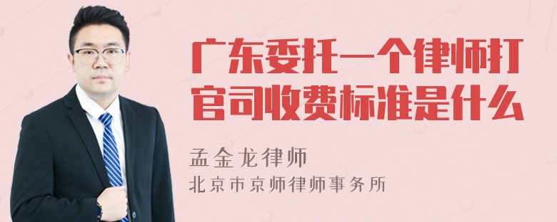 广东委托一个律师打官司收费标准是什么