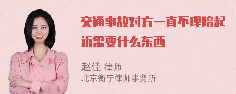 交通事故对方一直不理陪起诉需要什么东西