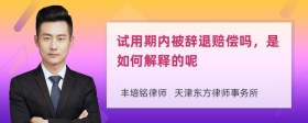 试用期内被辞退赔偿吗，是如何解释的呢