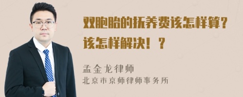 双胞胎的抚养费该怎样算？该怎样解决！？