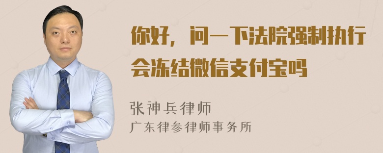 你好，问一下法院强制执行会冻结微信支付宝吗