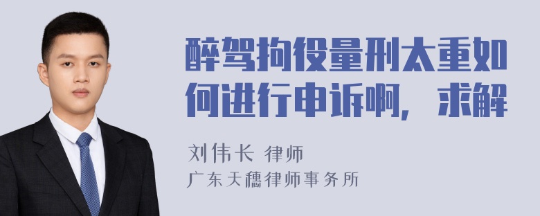 醉驾拘役量刑太重如何进行申诉啊，求解