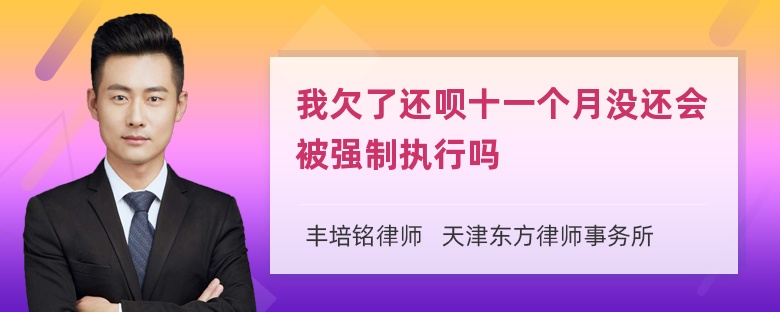 我欠了还呗十一个月没还会被强制执行吗