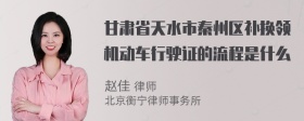 甘肃省天水市秦州区补换领机动车行驶证的流程是什么