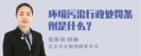 环境污染行政处罚条例是什么？