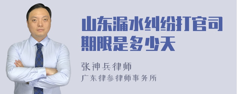 山东漏水纠纷打官司期限是多少天