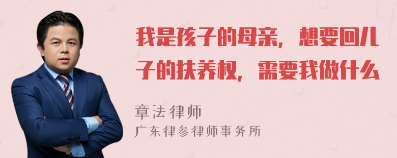 我是孩子的母亲，想要回儿子的扶养权，需要我做什么