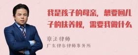 我是孩子的母亲，想要回儿子的扶养权，需要我做什么