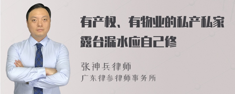 有产权、有物业的私产私家露台漏水应自己修