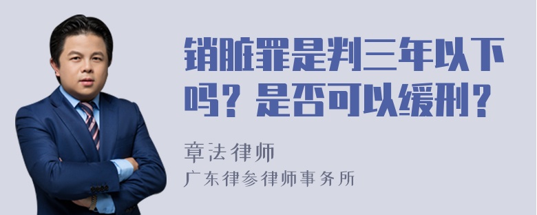 销脏罪是判三年以下吗？是否可以缓刑？