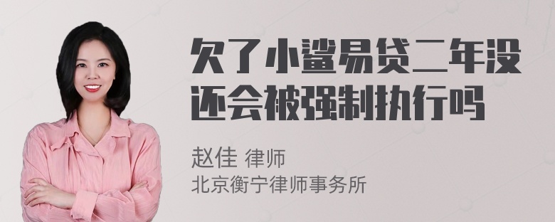 欠了小鲨易贷二年没还会被强制执行吗