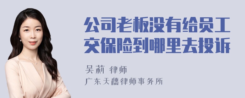 公司老板没有给员工交保险到哪里去投诉