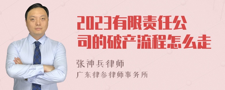 2023有限责任公司的破产流程怎么走