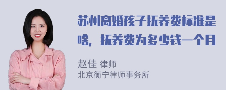 苏州离婚孩子抚养费标准是啥，抚养费为多少钱一个月