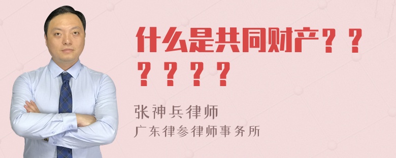 什么是共同财产？？？？？？