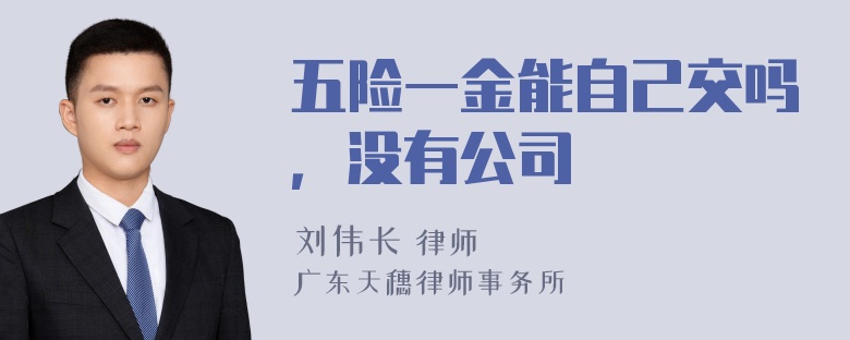 五险一金能自己交吗，没有公司