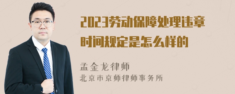 2023劳动保障处理违章时间规定是怎么样的