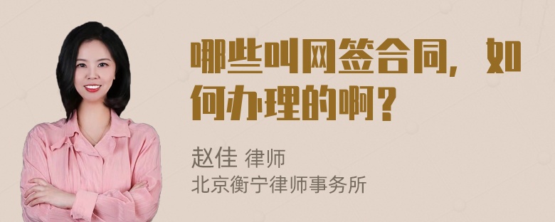 哪些叫网签合同，如何办理的啊？