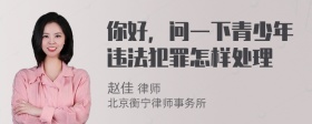 你好，问一下青少年违法犯罪怎样处理