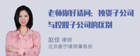 老师你好请问：独资子公司与控股子公司的区别