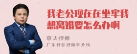 我老公现在在坐牢我想离婚要怎么办啊