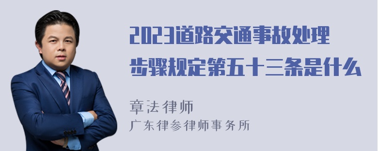 2023道路交通事故处理步骤规定第五十三条是什么