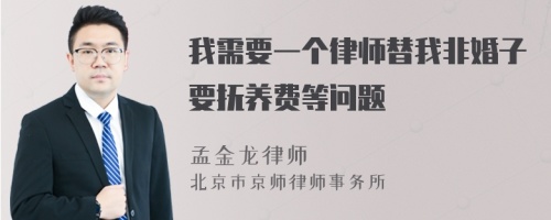 我需要一个律师替我非婚子要抚养费等问题