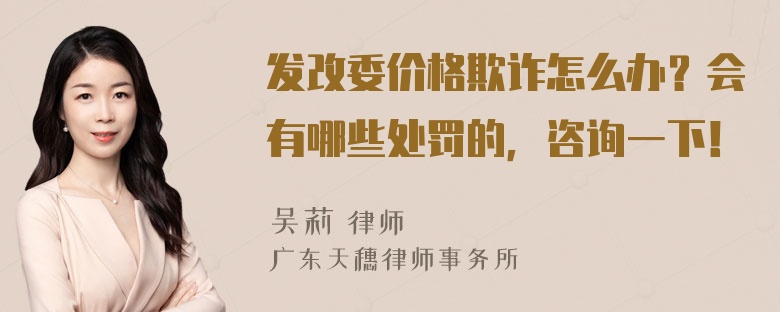 发改委价格欺诈怎么办？会有哪些处罚的，咨询一下！