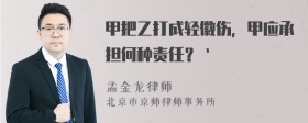 甲把乙打成轻徽伤，甲应承担何种责任？｀