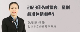 2023什么叫猥亵，量刑标准包括哪些？