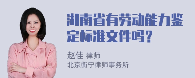 湖南省有劳动能力鉴定标准文件吗？