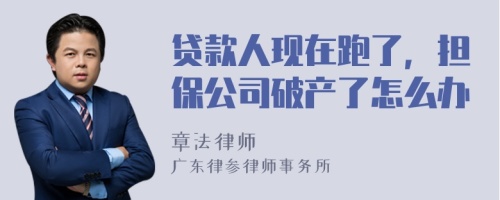 贷款人现在跑了，担保公司破产了怎么办