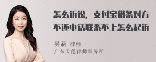 怎么诉讼，支付宝借条对方不还电话联系不上怎么起诉