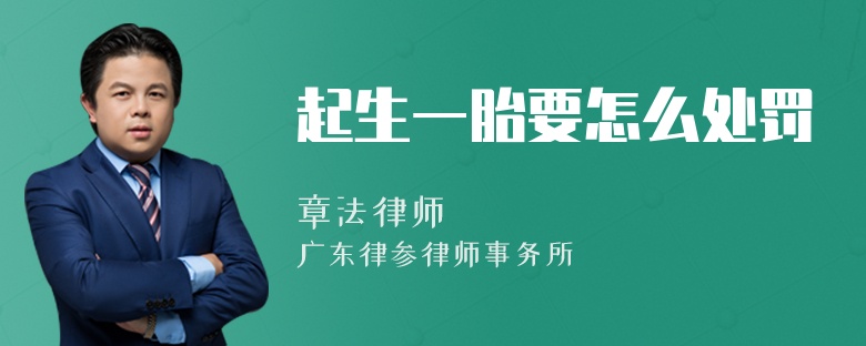 起生一胎要怎么处罚