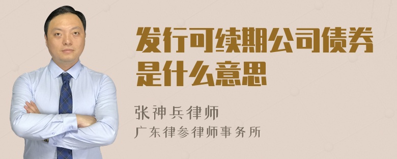 发行可续期公司债券是什么意思