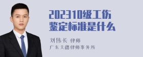 202310级工伤鉴定标准是什么