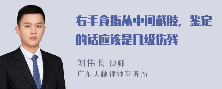 右手食指从中间截肢，鉴定的话应该是几级伤残