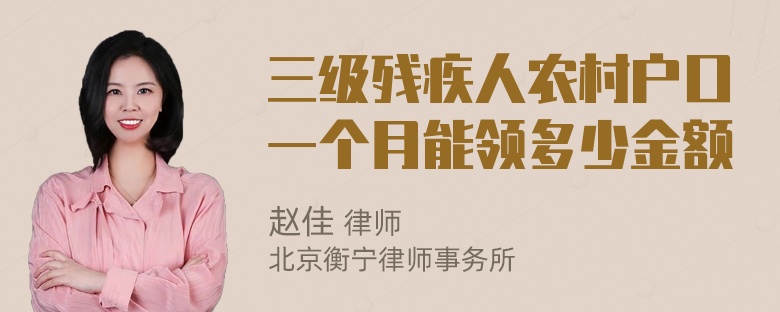 三级残疾人农村户口一个月能领多少金额