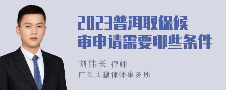 2023普洱取保候审申请需要哪些条件