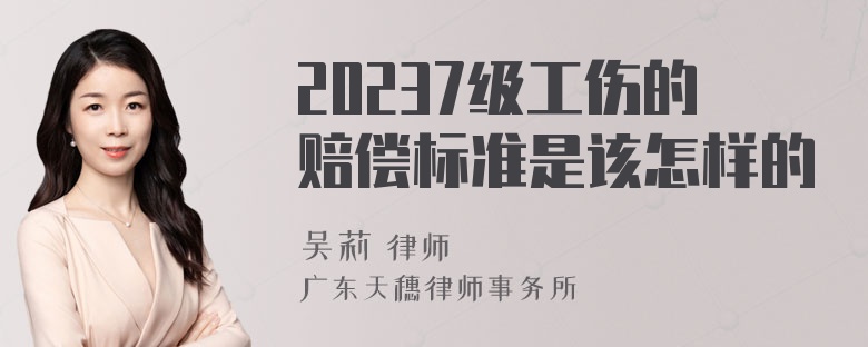 20237级工伤的赔偿标准是该怎样的