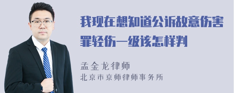 我现在想知道公诉故意伤害罪轻伤一级该怎样判