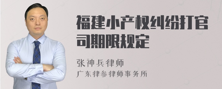 福建小产权纠纷打官司期限规定