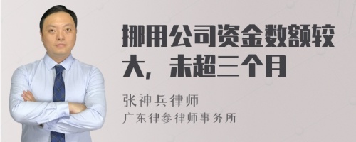 挪用公司资金数额较大，未超三个月