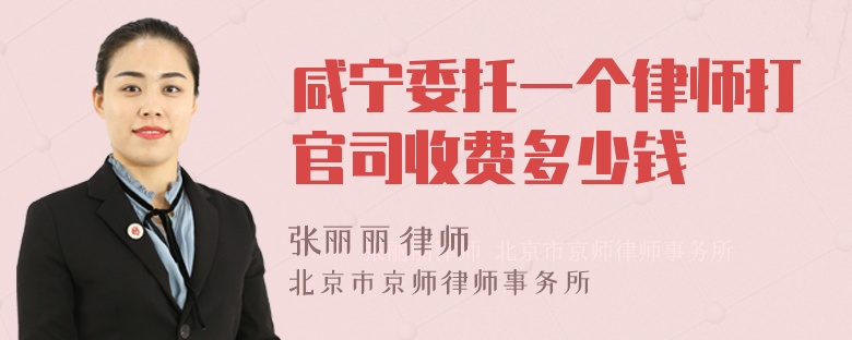 咸宁委托一个律师打官司收费多少钱