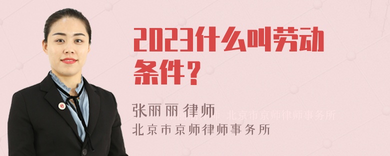 2023什么叫劳动条件？