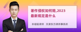 著作侵权如何赔,2023最新规定是什么