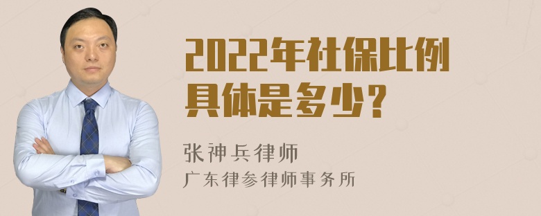 2022年社保比例具体是多少？