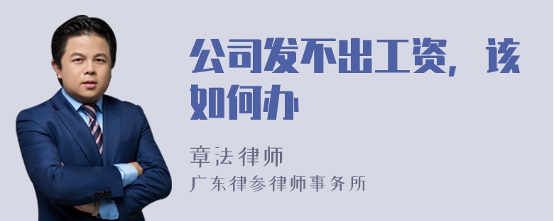 公司发不出工资，该如何办