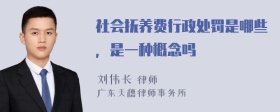 社会抚养费行政处罚是哪些，是一种概念吗